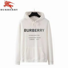 Picture of Burberry Hoodies _SKUBurberryS-XXLR0810259